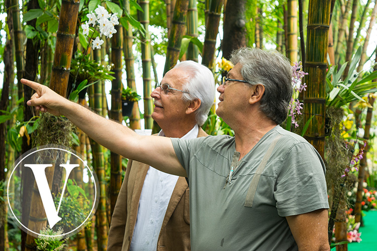 ORQUÍDEAS, PAJAROS Y FLORES 2016