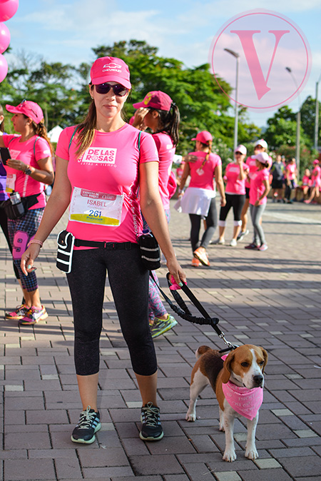 Carrera de las Rosas