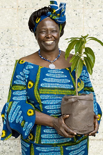 Wangari Maathai. Foto cortesía AllCreation.org