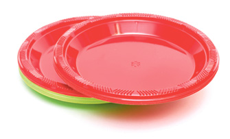 Platos desechables o especiales para picnic