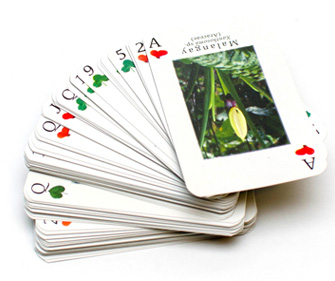 Cartas Cartas