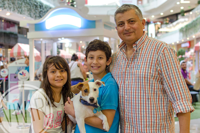 MERCADO DE MASCOTAS