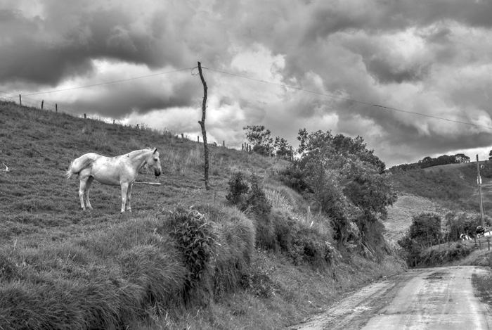 caminantes de Antioquia