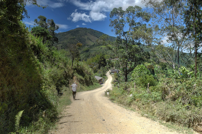 Camino rural en Abejorral caminantes de Antioquia