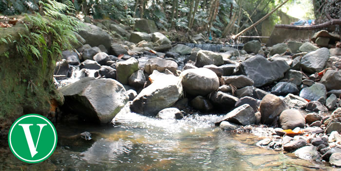 quebrada la presidenta