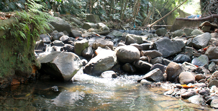 quebrada la presidenta