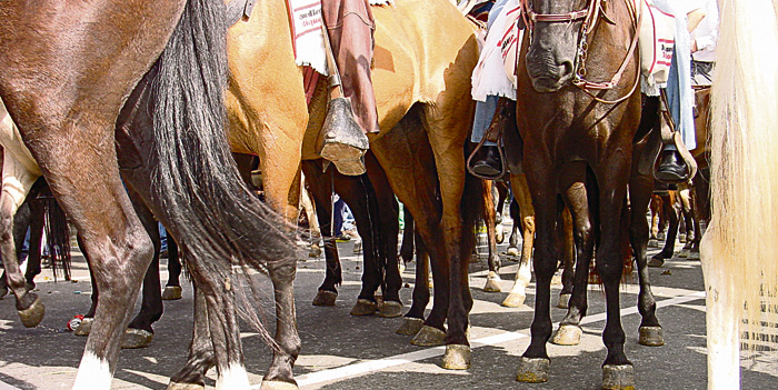 cabalgata