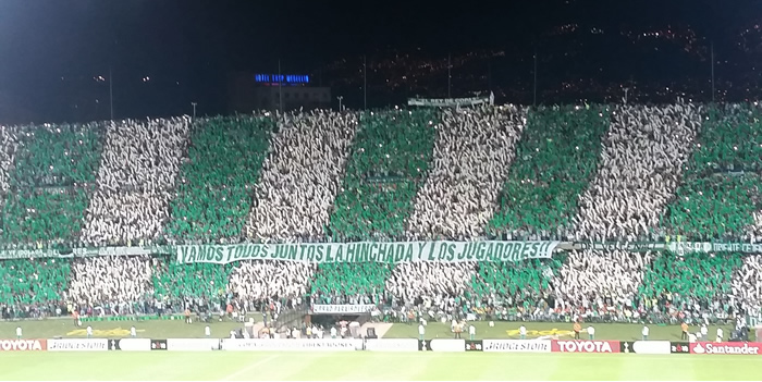 final copa libertadores veep