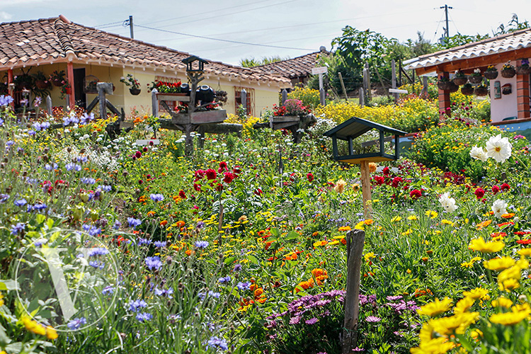 Feria de las Flores