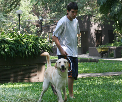 mascotas