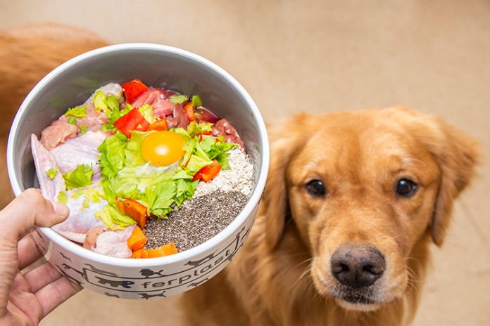 Alimentación natural para perros y gatos incluye proteínas crudas y vegetales. Una alimentación variada y digna para nuestras mascotas. Alimentación natural para perros y gatos incluye proteínas crudas y vegetales. Una alimentación variada y digna para nuestras mascotas.