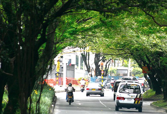 Tala en el túnel verde por metroplús sigue en vilo Tala en el túnel verde por metroplús sigue en vilo