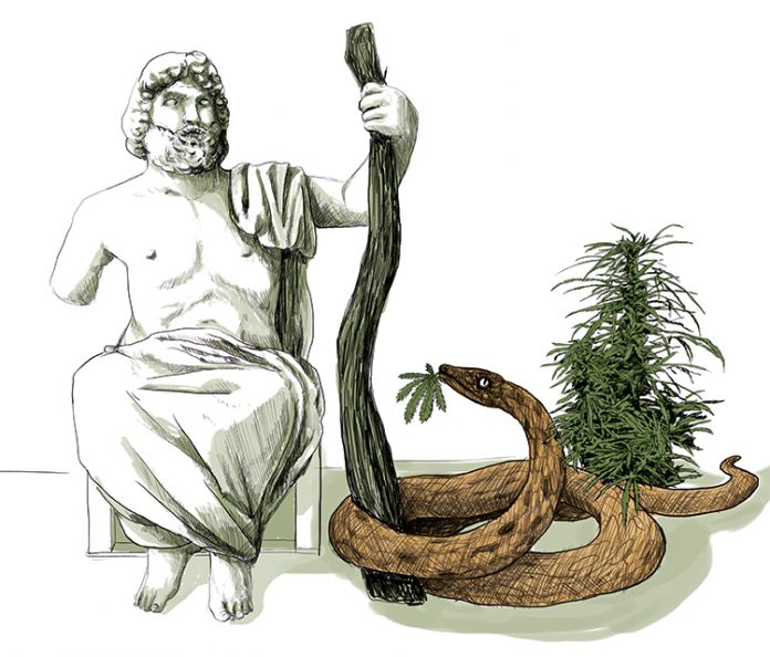 cannabis medicinal cannabis medicinal