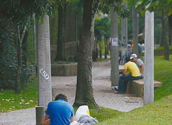 consumo de alucinógenos en parques consumo de alucinógenos en parques