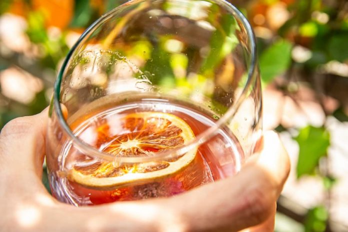 Coctel Gin tonic de camu-camu Coctel Gin tonic de camu-camu