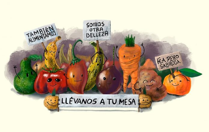 Los 10 vegetales más desechados en Colombia Los 10 vegetales más desechados en Colombia