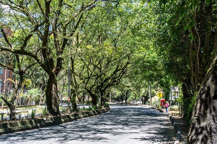 Metroplús tiene un año para reactivar obras en Envigado Metroplús tiene un año para reactivar obras en Envigado