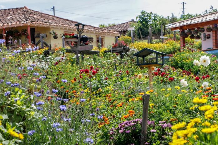 fincas-silleteras (1) (1) Santa Elena Feria de Flores 2019