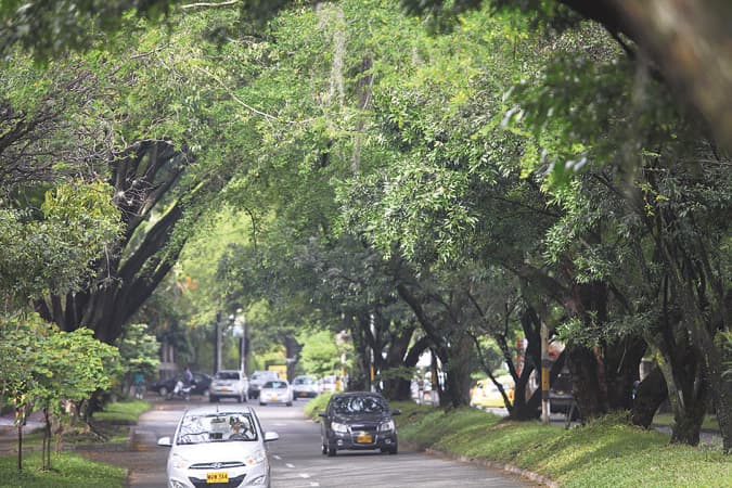 Obra del Túnel Verde Obra del Túnel Verde