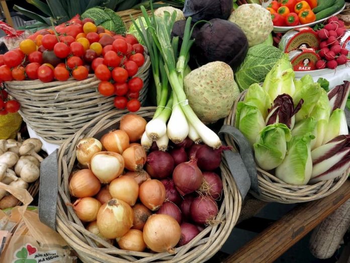 veganismo Comida vegana