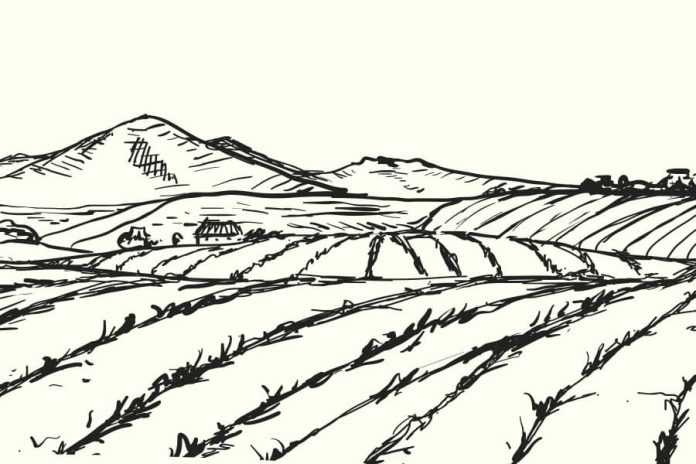 El-campo-es-nuestra-despensa