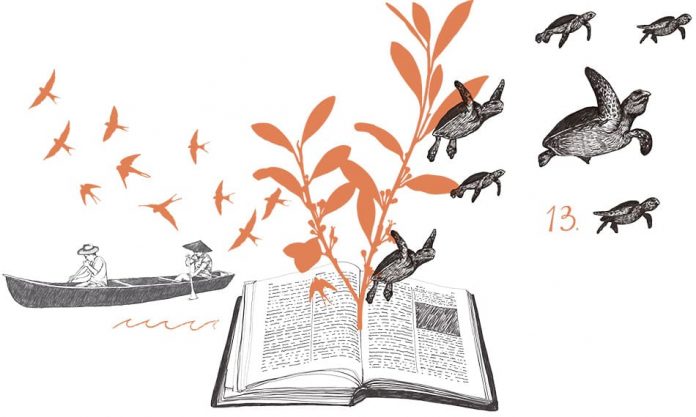 Fiesta del Libro y la Cultura 2019 Fiesta del Libro y la Cultura 2019