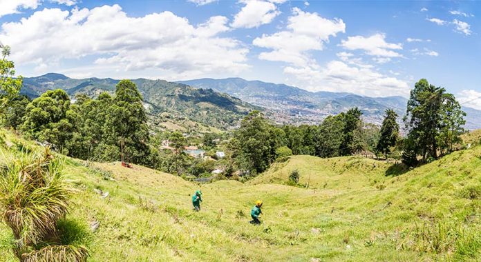 Esta será la vista que tendrán los estudiantes del colegio desde la nueva sede de la loma de El Escobero. Esta será la vista que tendrán los estudiantes del colegio desde la nueva sede de la loma de El Escobero.