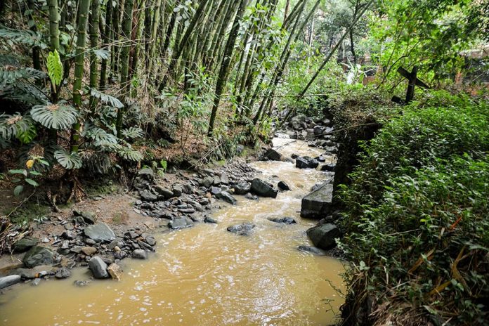 La contaminación de la quebrada La Paulita La contaminación de la quebrada La Paulita
