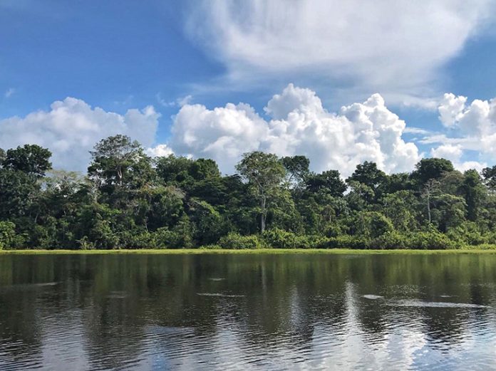 Reflexiones sobre el Amazonas Reflexiones sobre el Amazonas