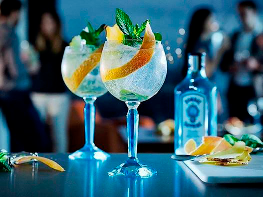 Cata de gin tonics Cata de gin tonics