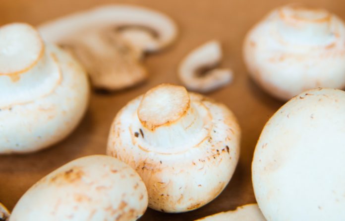 Champiñones y otros hongos en tu cocina Champiñones y otros hongos en tu cocina