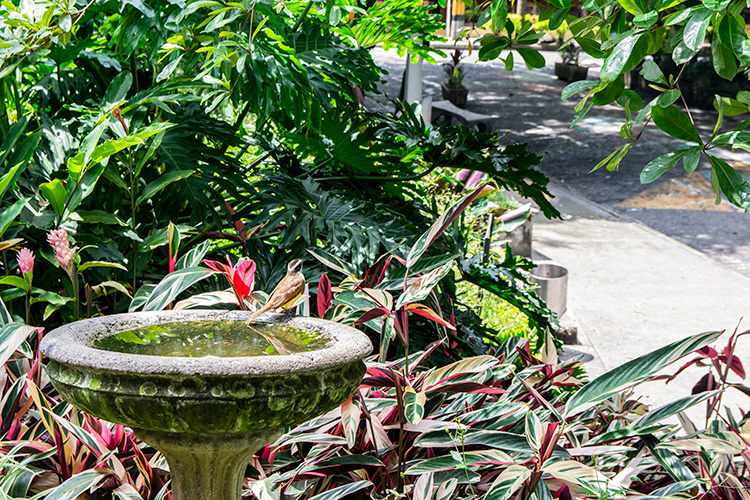 Parque Lleras tendrá un cambio extremo Parque Lleras tendrá un cambio extremo