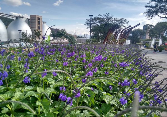 fotográfica sobre el cuidado del río Aburrá-Medellín fotográfica sobre el cuidado del río Aburrá-Medellín