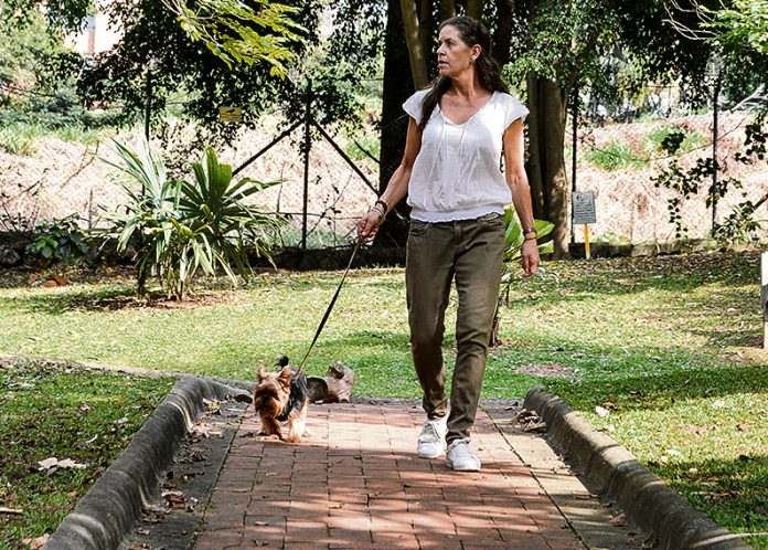¿Quiere tener mascota? considere (y esta es mi invitación) no comprar: adopte, cuide y esterilice y no apoye el tráfico de fauna silvestre! ¿Quiere tener mascota? considere (y esta es mi invitación) no comprar: adopte, cuide y esterilice y no apoye el tráfico de fauna silvestre!
