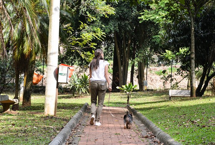 La sostenibilidad y las mascotas La sostenibilidad y las mascotas