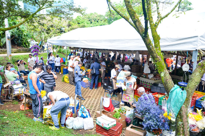 Los Mercados Campesinos en El Poblado Los Mercados Campesinos en El Poblado