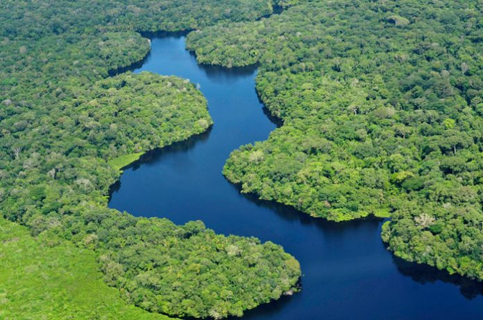 para enfrentar el cambio climático y abordar la escasez de agua potable es la conservación y reparación de los bosques. para enfrentar el cambio climático y abordar la escasez de agua potable es la conservación y reparación de los bosques.