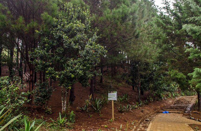 Rutas mitológicas en el Parque Arví Rutas mitológicas en el Parque Arví