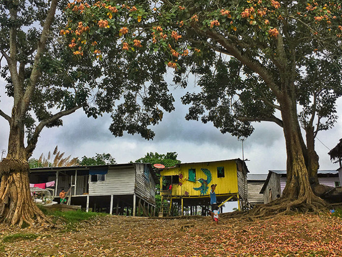 Reflexiones sobre el Amazonas Reflexiones sobre el Amazonas