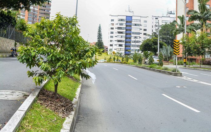 arboles-en-el-poblado