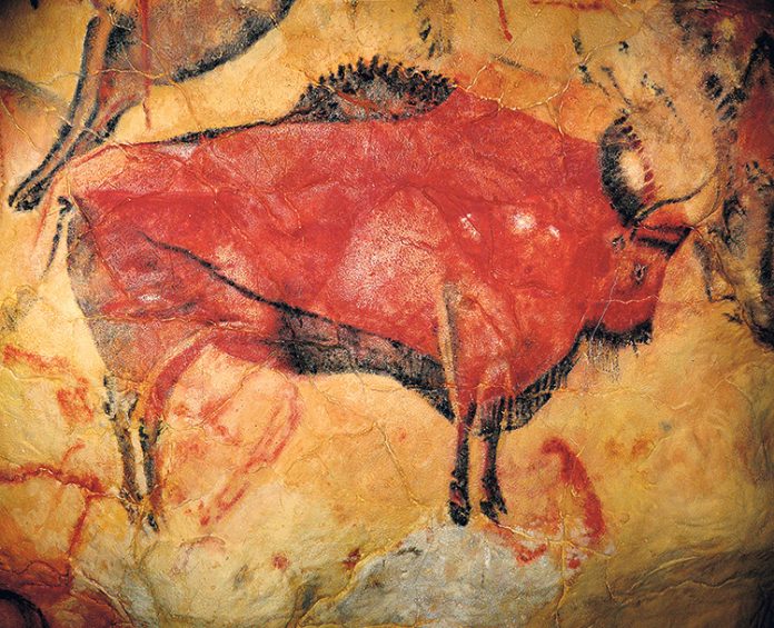 carlos-arturoBisonte