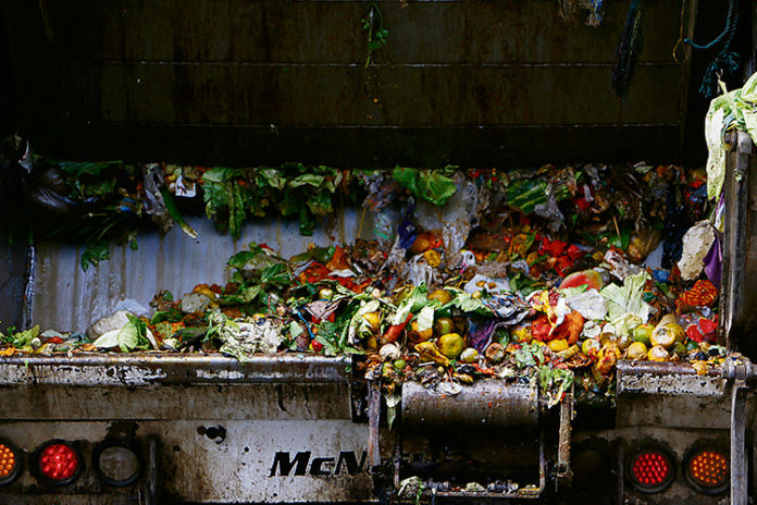 Pérdida de comida Pérdida de comida