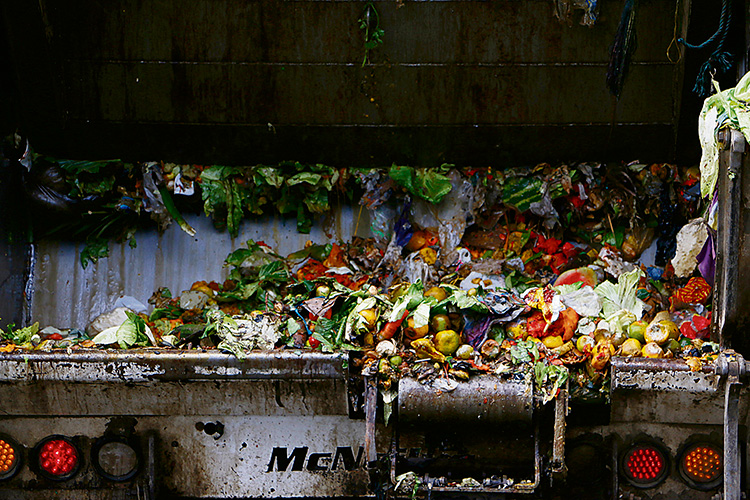 Pérdida de comida