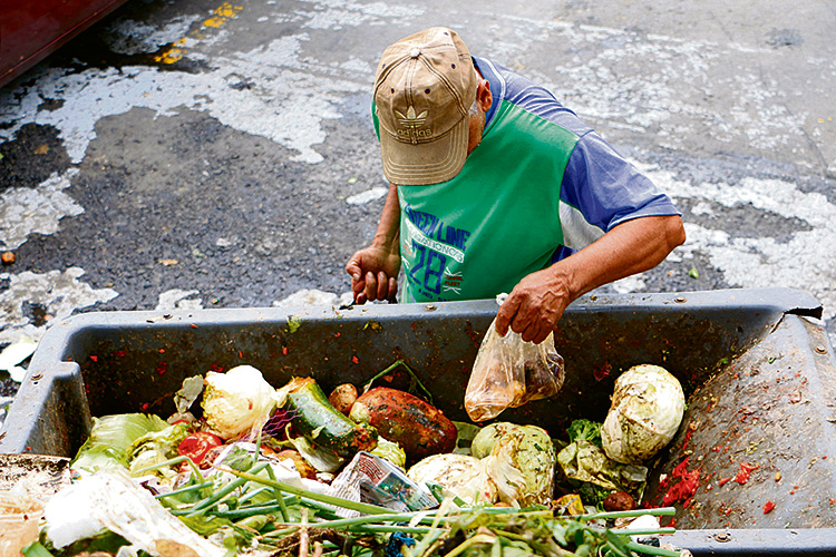 Desperdicio de alimentos