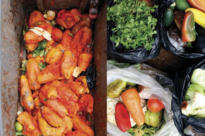 hambre en el mundo hambre en el mundo