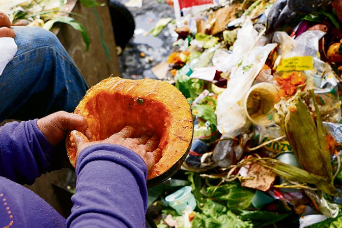 desperdiciocio-de-alimentos Sultura del desperdicio