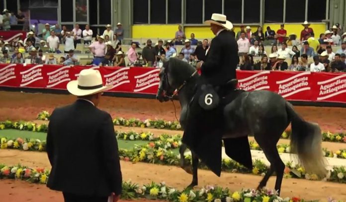 equina Exposición internacional equina Feria de las Flores