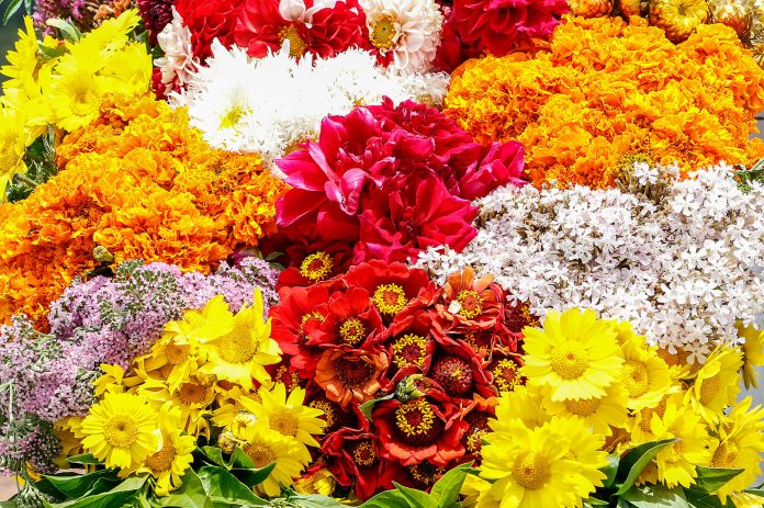 feria-de-las-flores-medellin Feria de las Flores Medellín