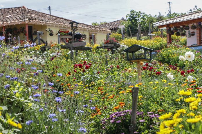 finca-silletera Programación de la Feria de las Flores Medellín