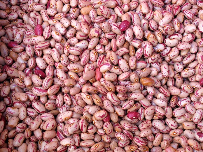 Remojar los fríjoles Remojar los fríjoles